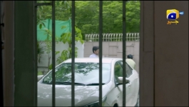 Jinzada - Episode 16 - 6th August 2023